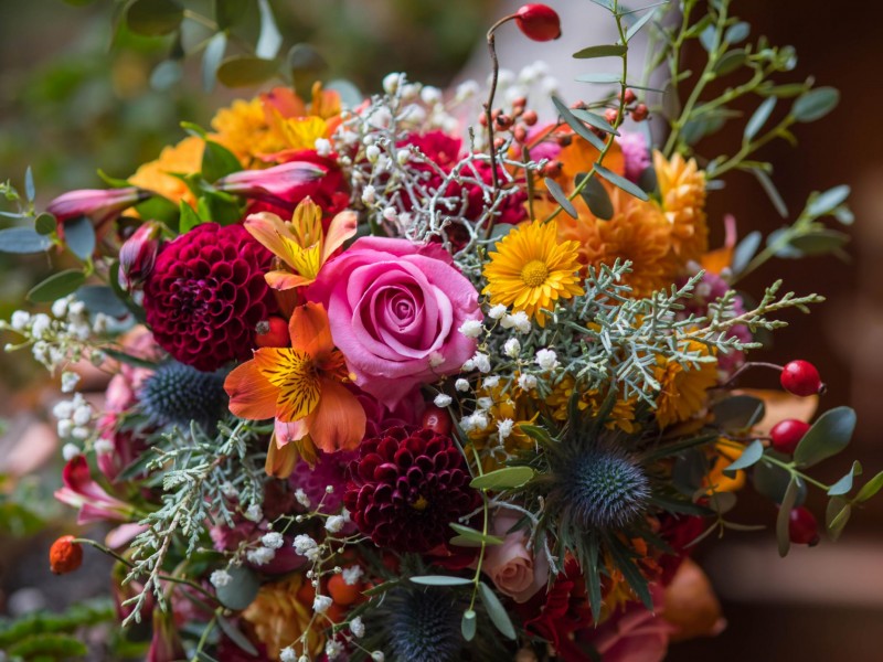 Outstanding Florist South-Western Brisbane... Business For Sale