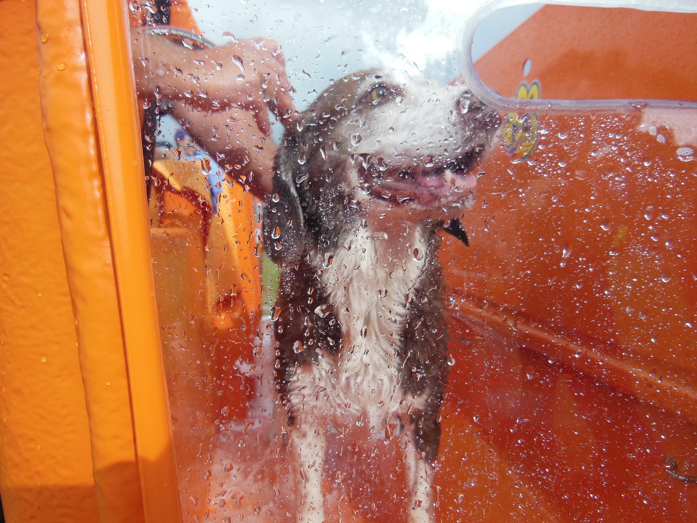 Huge territory City Farmers Mobile Dog Wash South Metro