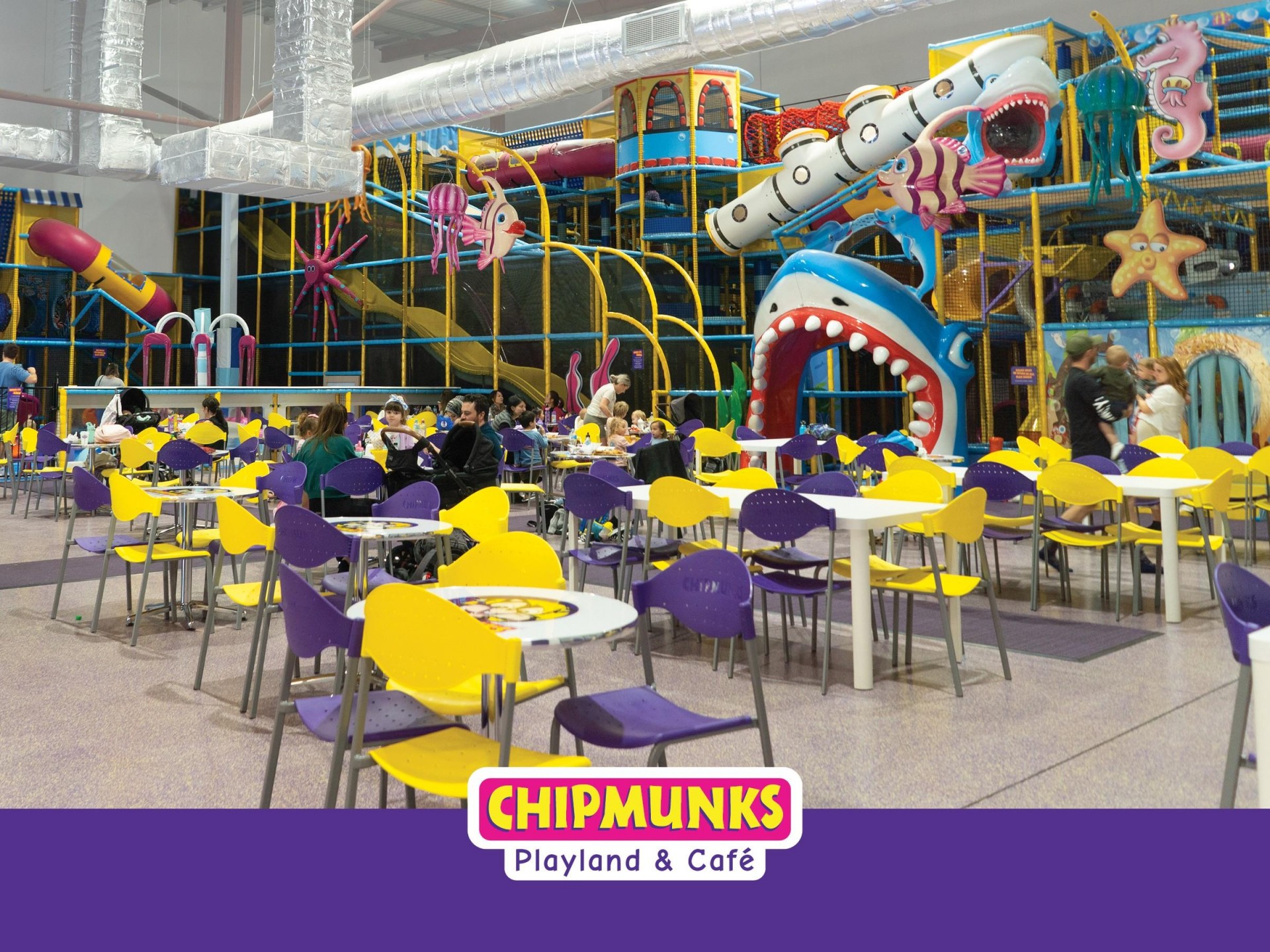 Chipmunks indoor playground franchise for sale - West Lakes