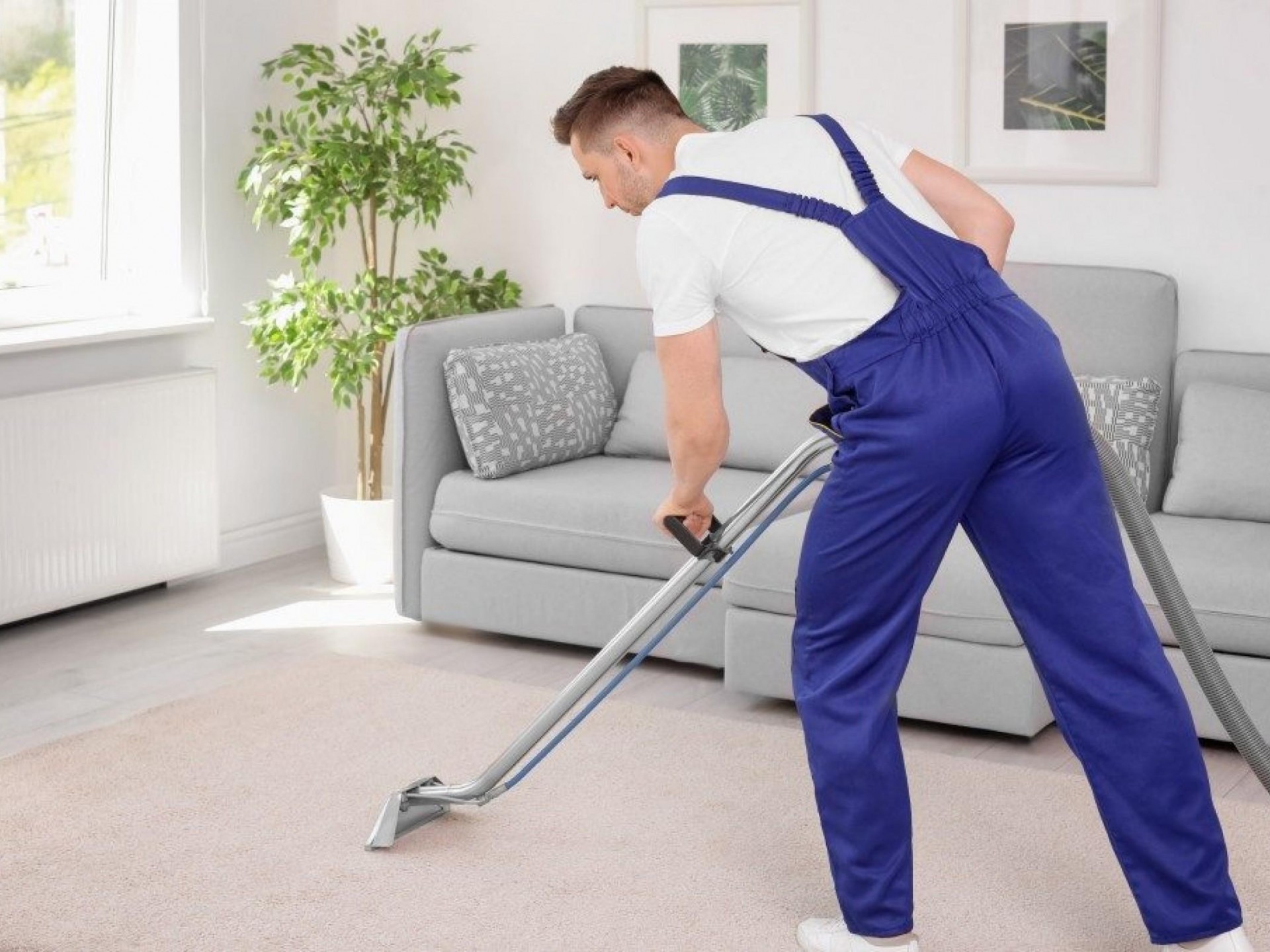 Carpet Cleaning business - 35 years EST. Huge data base.