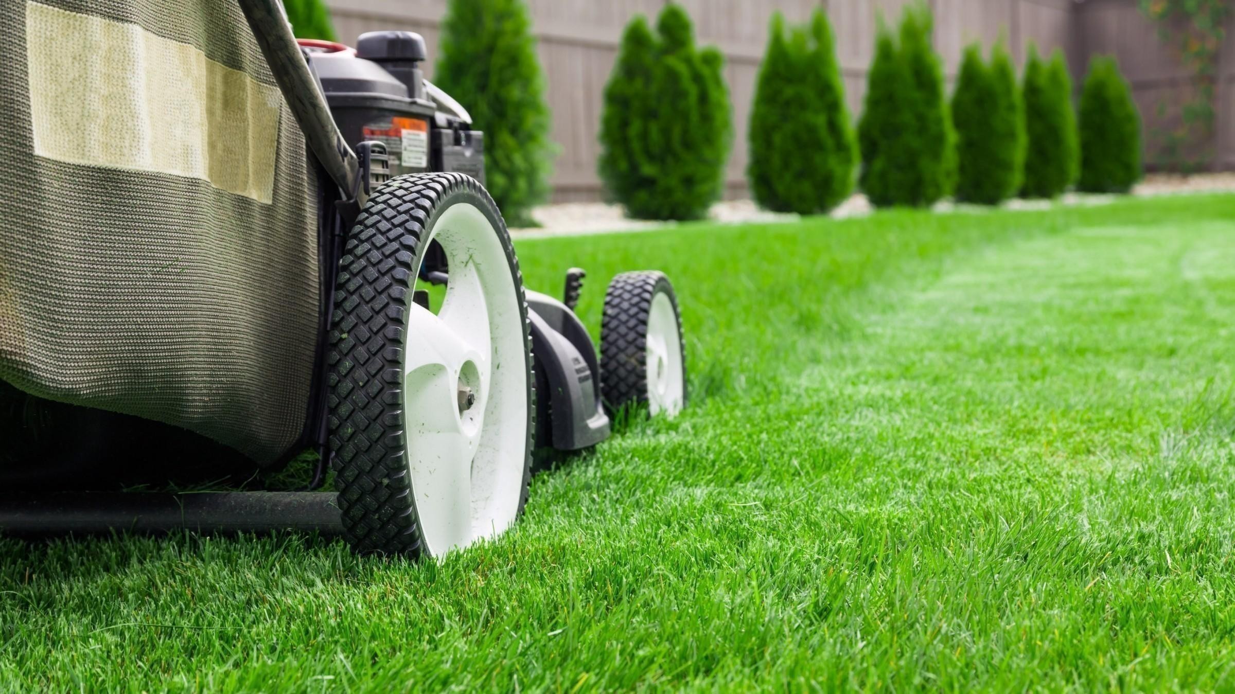 Lawnmowing and Gardening Franchise - Territories...Business For Sale