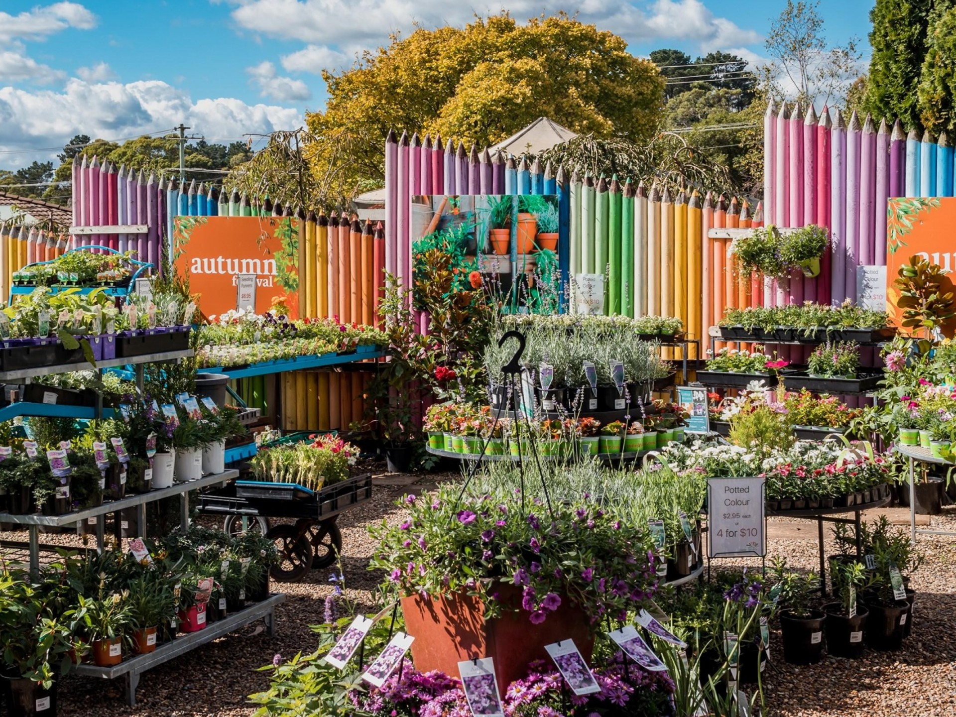 Well-Established and Profitable Garden Centre...Business For Sale