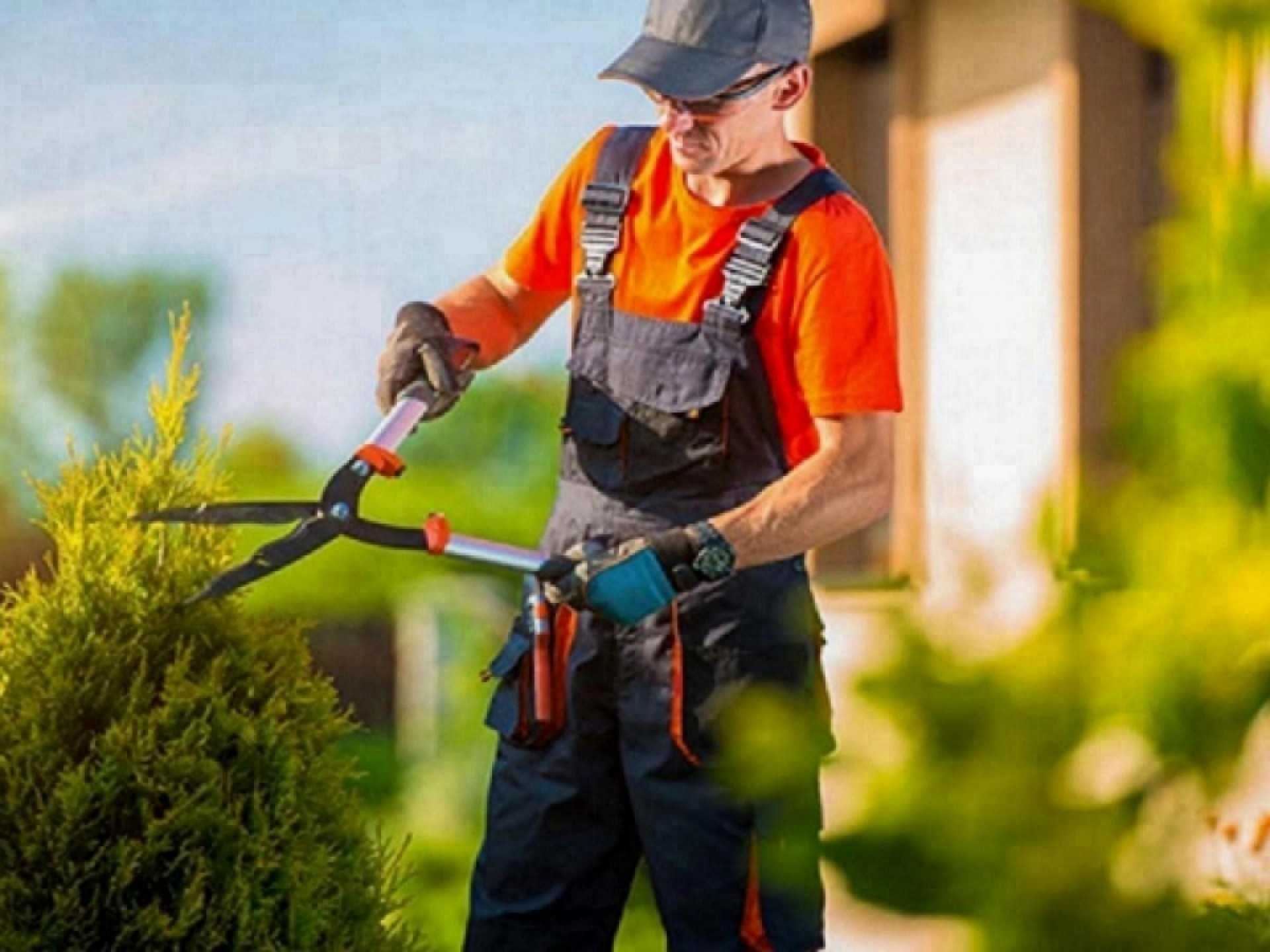 Lawnmowing and Gardening Franchise - New...Business For Sale