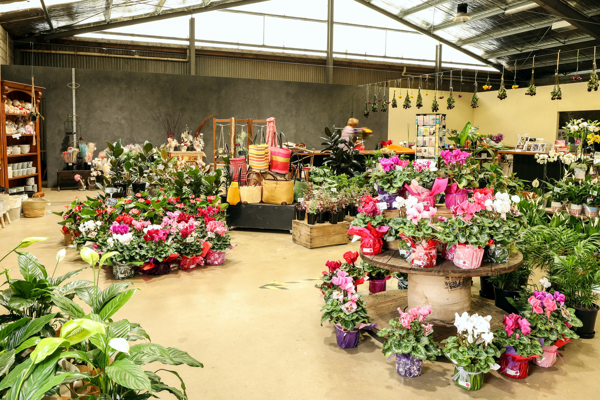 Warrnambool’s Fresh Flower Market & Weerite G...Business For Sale