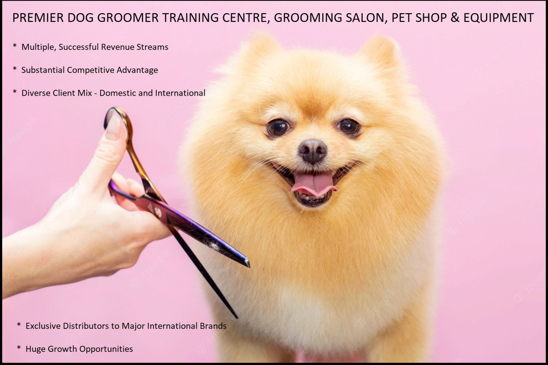 PREMIER DOG GROOMER TRAINING CENTRE, GROOMING...Business For Sale
