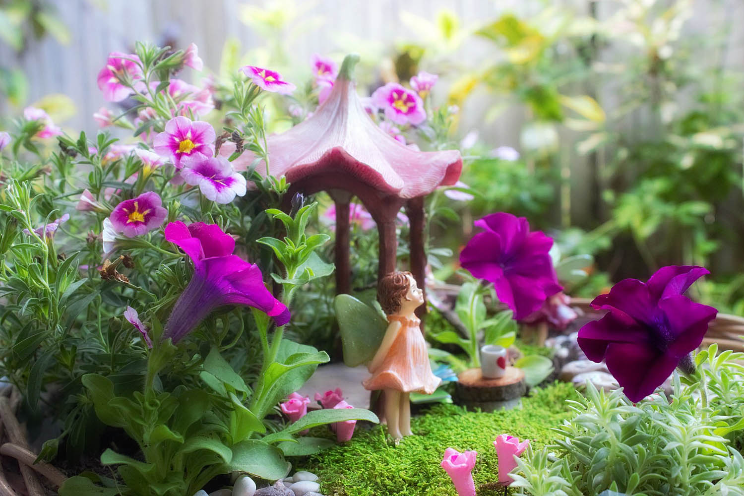 Online E Commerce Fairy Garden Business For Sale In Qld
