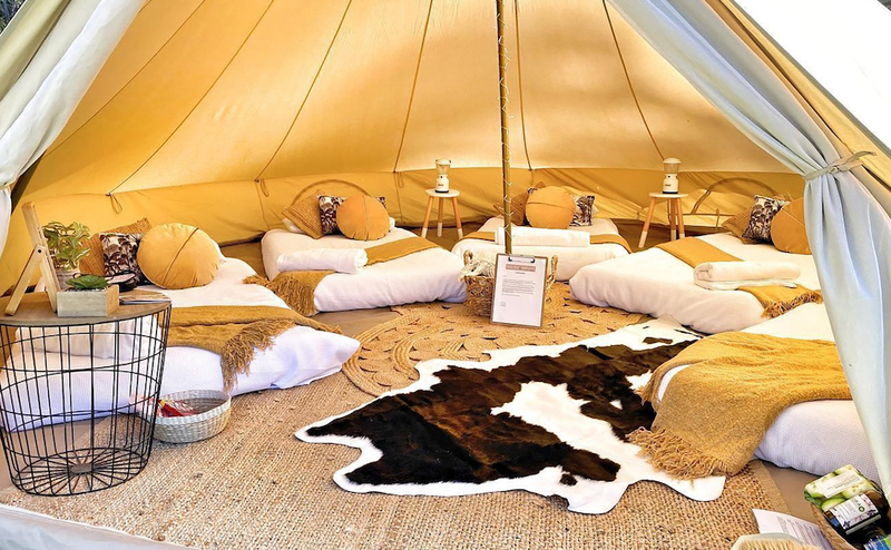 Luxury Glamping and Events Business – Long Jetty, NSW image 4