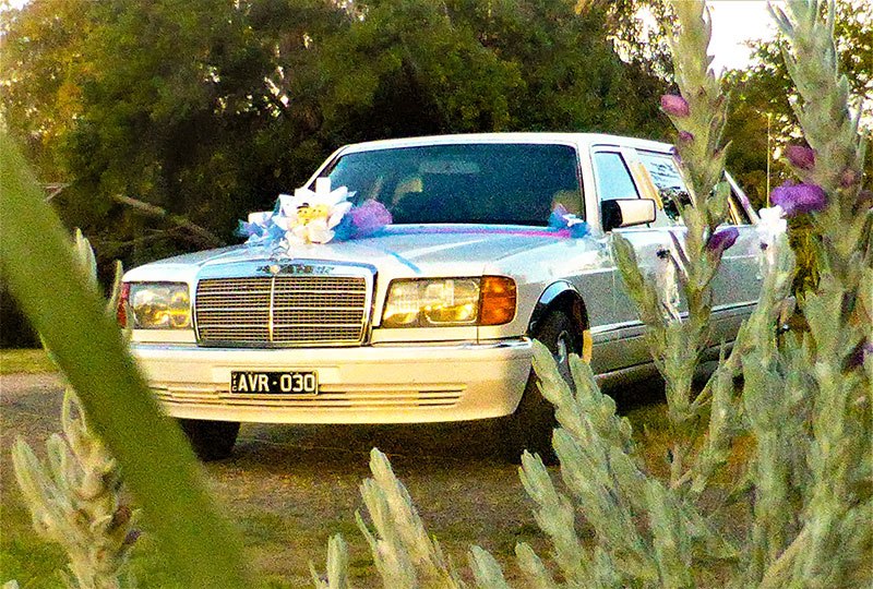 LIMOUSINE HIRE - LIMOUSINE/WEBSITE/EVERYTHING INCL IN PRICE thumbnail 9