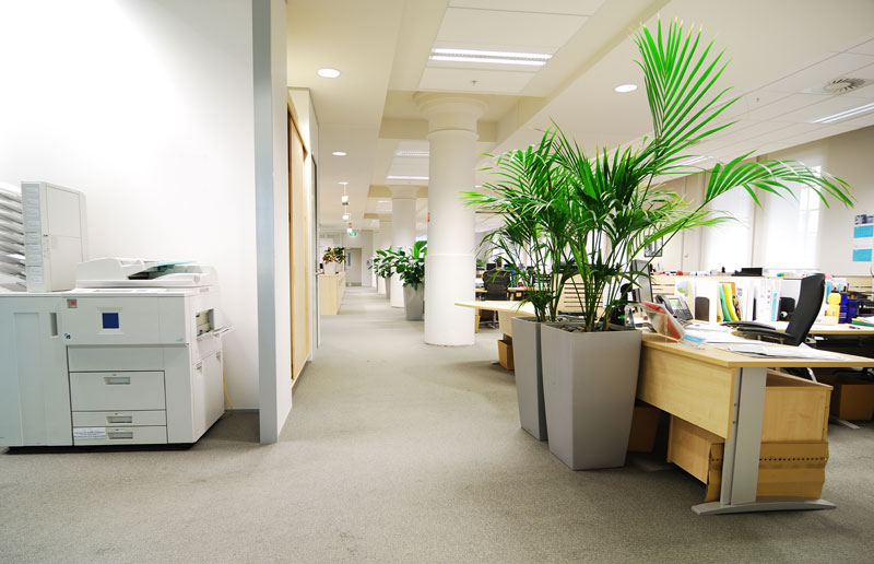 Commercial Cleaning Business  image 1
