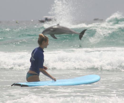 Surf Lessons, Camps & Tours image 2